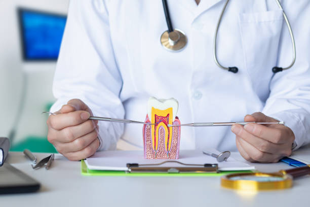 Best Emergency Dental Care for Broken or Chipped Teeth in Duncanville, TX